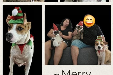 Cliquez pour zoomer ! Photo de mary12775