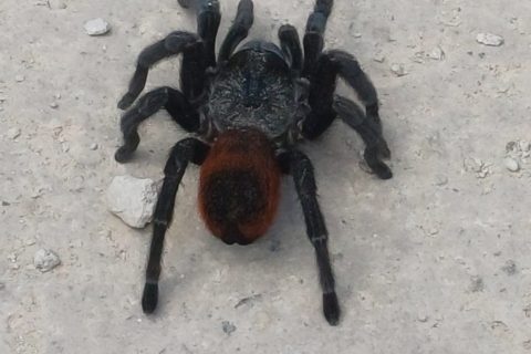 Cliquez pour zoomer ! Photo de mary12775