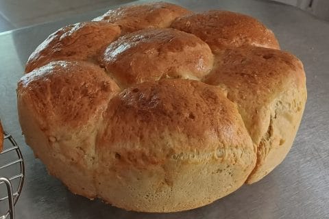 Cliquez pour zoomer ! Pão de Abóbora – Brioche à la courge Thermomix par mary12775