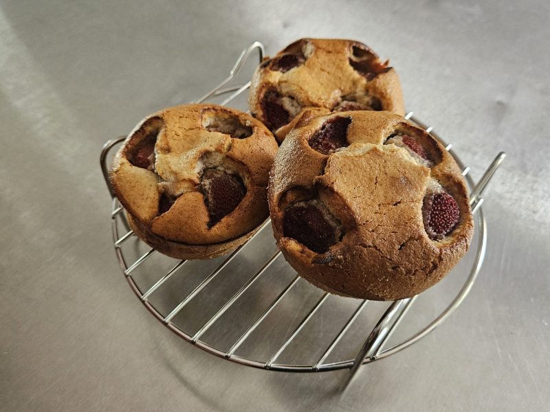 Cliquez pour zoomer ! Visitandines aux framboises Thermomix par mary12775