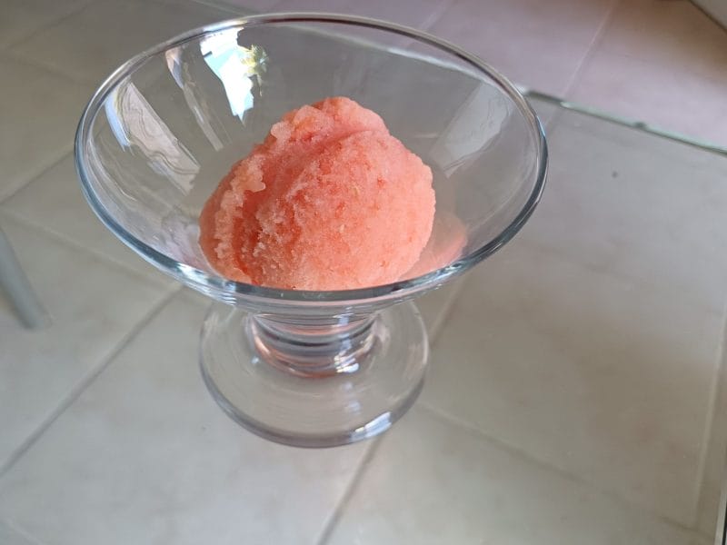 Cliquez pour zoomer ! Sorbet à la pastèque Thermomix par mary12775