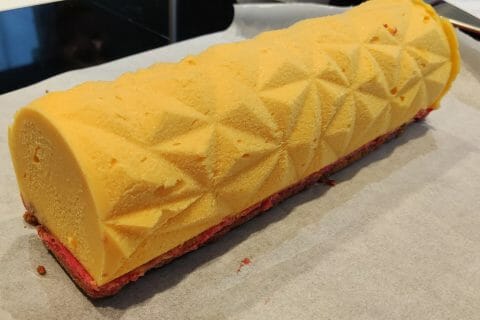Cliquez pour zoomer ! Bûche glacée mangue et framboise Thermomix par Chrissy1327
