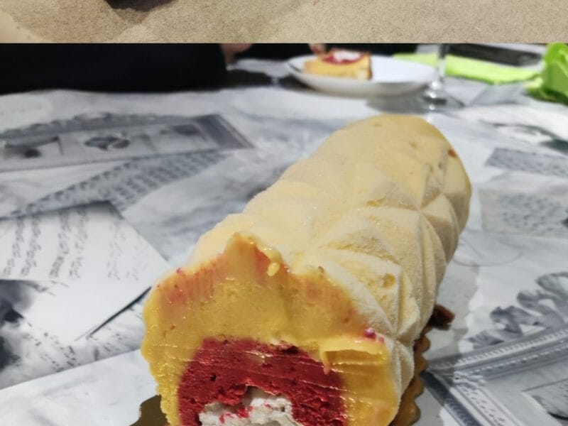 Cliquez pour zoomer ! Bûche glacée mangue et framboise Thermomix par Chrissy1327