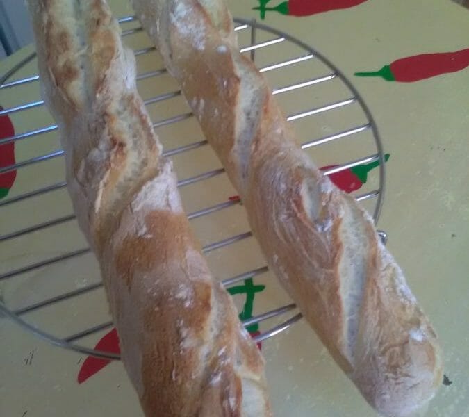 Cliquez pour zoomer ! Baguettes Thermomix par michienmichat