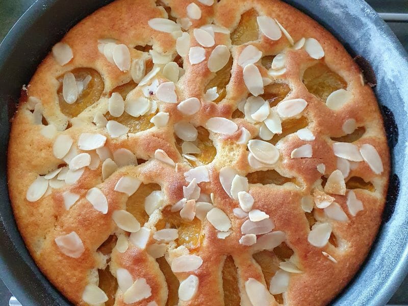 Cliquez pour zoomer ! Gâteau moelleux aux abricots Thermomix par Gwenou41