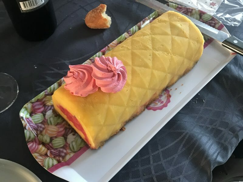 Cliquez pour zoomer ! Bûche glacée mangue et framboise Thermomix par Lea13
