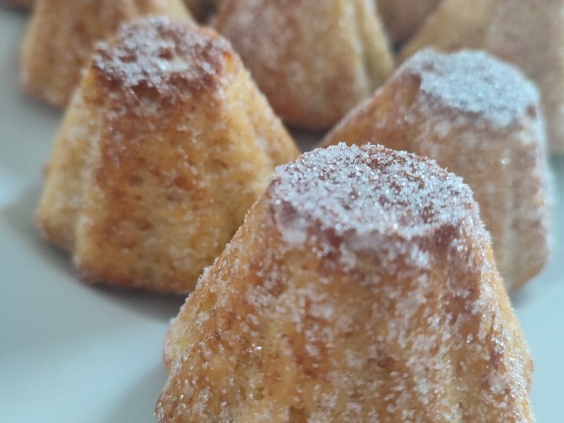 Cliquez pour zoomer ! Doffins Thermomix par Merine