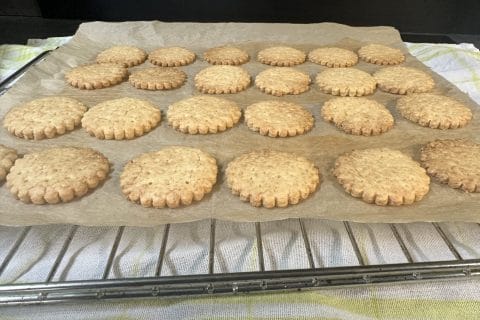 Cliquez pour zoomer ! Photo de Jessjunior