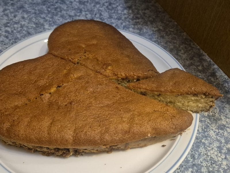 Cliquez pour zoomer ! Gâteau au yaourt Thermomix par viros