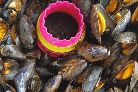 Cliquez pour zoomer ! Moules marinières Thermomix par Lucilia