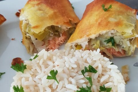 Cliquez pour zoomer ! Brick de saumon et poireaux au Thermomix