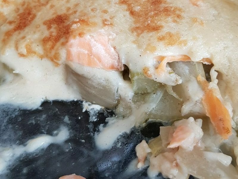 Cliquez pour zoomer ! Gratin de fenouil Thermomix par Lucilia