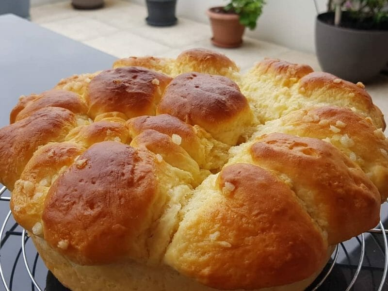 Cliquez pour zoomer ! Brioche Buchty Thermomix par elo044