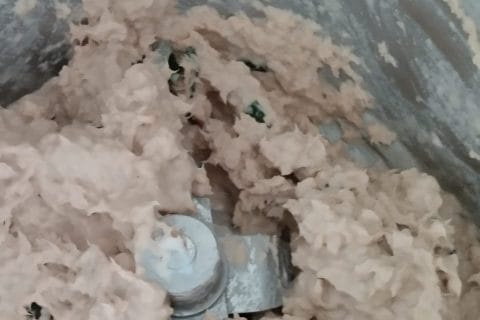 Cliquez pour zoomer ! Crème de thon à la coriandre Thermomix par mimi97220