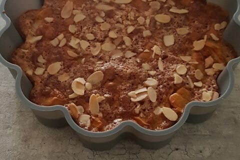 Cliquez pour zoomer ! Moelleux aux pommes au Thermomix