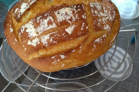 Cliquez pour zoomer ! IMG_20190427_133117_01