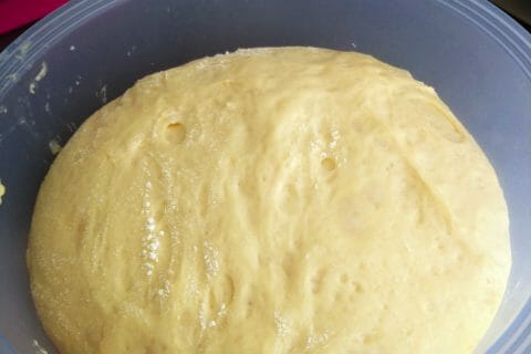 Cliquez pour zoomer ! Brioche Buchty au Thermomix