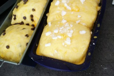 Cliquez pour zoomer ! Brioche Buchty au Thermomix
