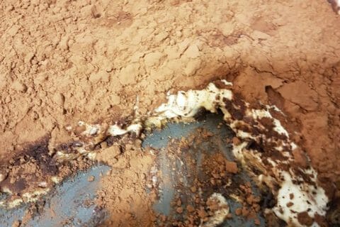 Photos des recettes