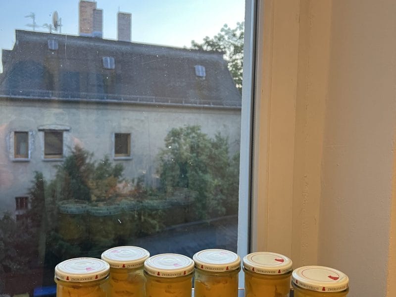 Cliquez pour zoomer ! Sorbet mangue Thermomix par alixlethermomix