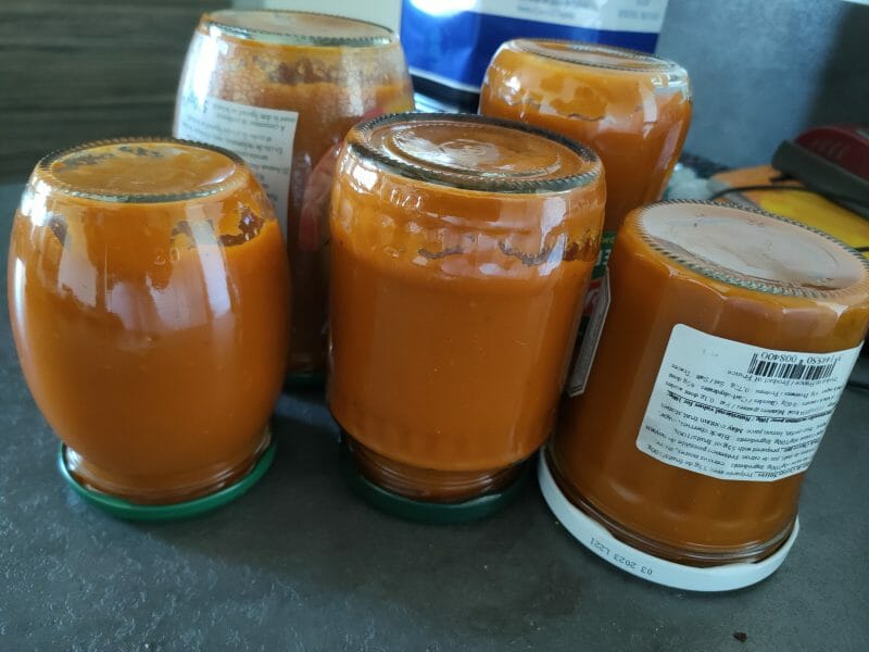 Cliquez pour zoomer ! Ketchup Thermomix par alexia83