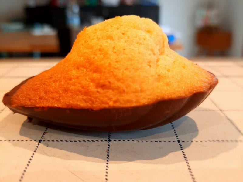 Cliquez pour zoomer ! Madeleines Thermomix par LesFolies2Ch@