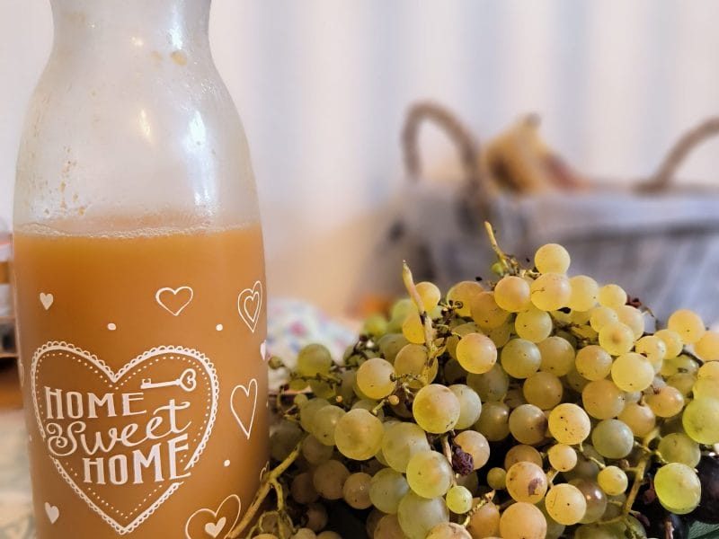 Cliquez pour zoomer ! Jus de raisins Thermomix par Momix