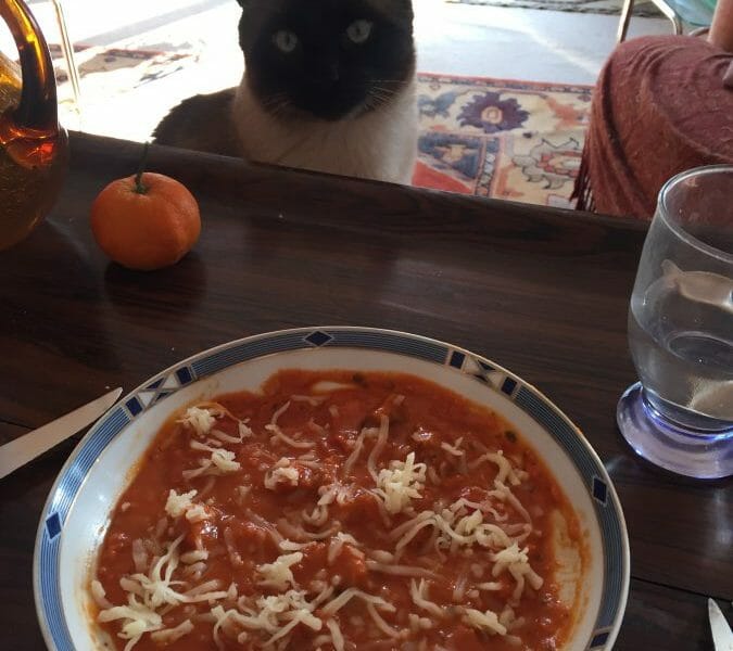 Cliquez pour zoomer ! La pizza soupe Thermomix par Catherine_10