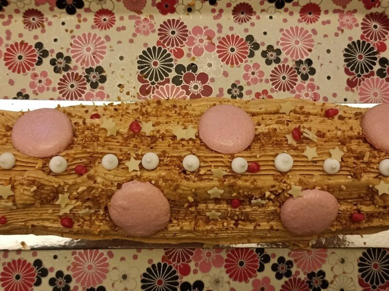 Cliquez pour zoomer ! Bûche pralinée aux éclats de noisettes caramélisés Thermomix par Isak