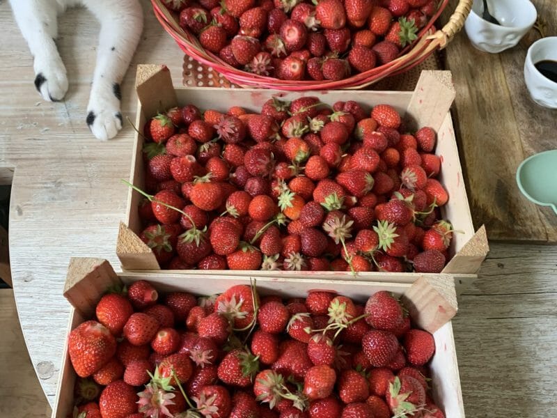 Cliquez pour zoomer ! Muffins aux fraises Thermomix par justcallmejames🌸