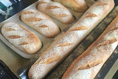 Photos des recettes