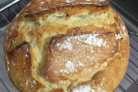 Photos des recettes