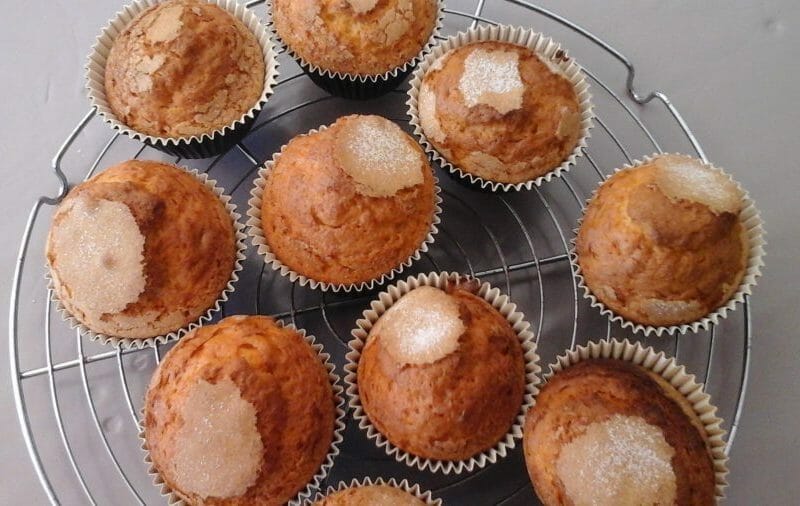 Cliquez pour zoomer ! Magdalenas – Madeleines espagnoles Thermomix par Mas-de-la-lance