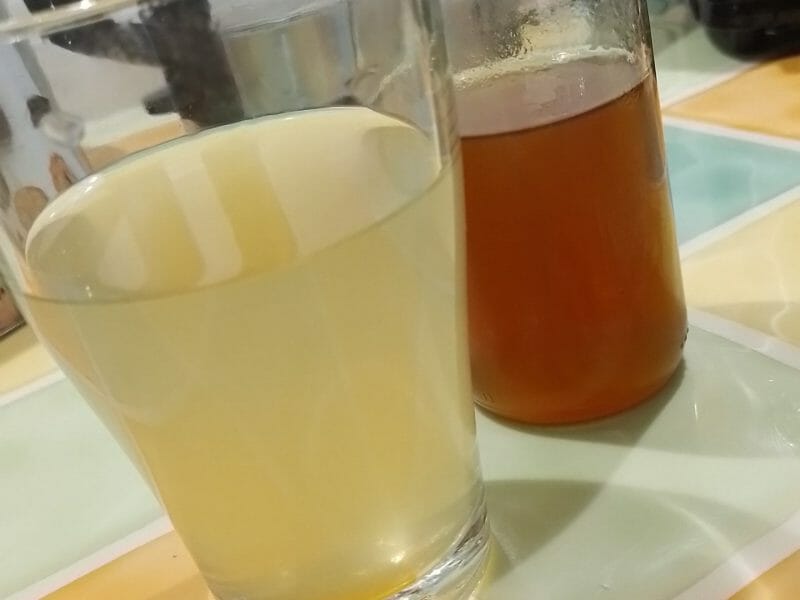 Cliquez pour zoomer ! Sirop de thé glacé – Ice tea citron menthe Thermomix par Banbinou35