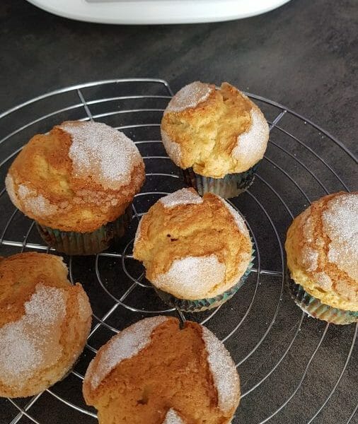 Cliquez pour zoomer ! Magdalenas – Madeleines espagnoles Thermomix par Ludivine973