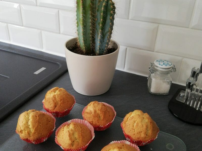 Cliquez pour zoomer ! Magdalenas – Madeleines espagnoles Thermomix par Angellacops