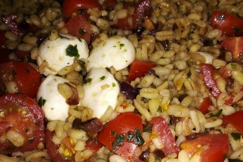 Photos des recettes