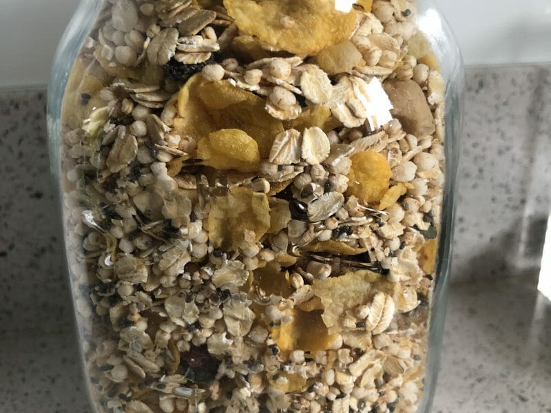 Cliquez pour zoomer ! Muesli Thermomix par isaplou