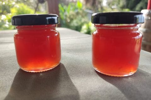 Cliquez pour zoomer ! Gelée de groseilles Thermomix par michoco974