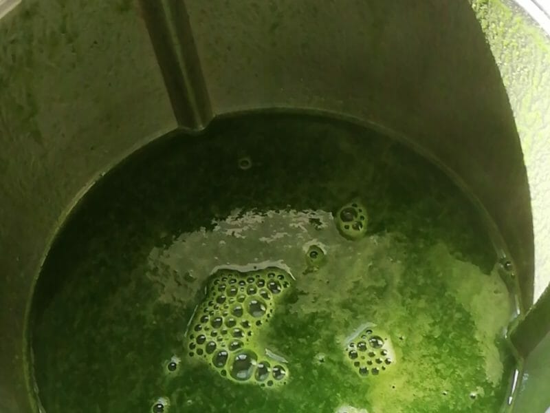 Cliquez pour zoomer ! Velouté aux fanes de radis Thermomix par laetichat54