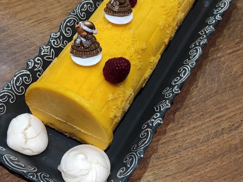 Cliquez pour zoomer ! Bûche glacée mangue et framboise Thermomix par Plngsdn