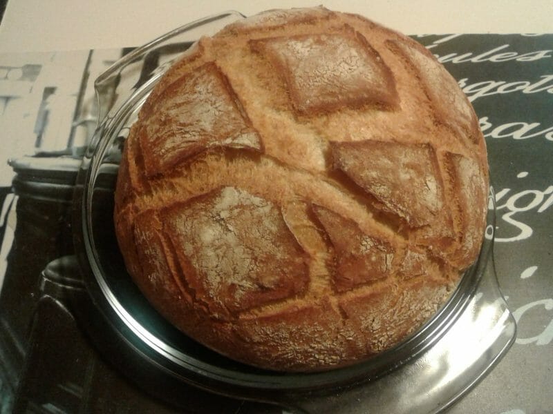 Cliquez pour zoomer ! Pain Cocotte Thermomix par aline13