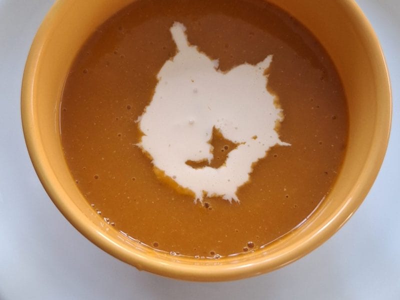 Cliquez pour zoomer ! Velouté de lentilles corail Thermomix par choubidoucuisine