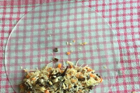 Cliquez pour zoomer ! Nems au poulet Thermomix par Carineb57