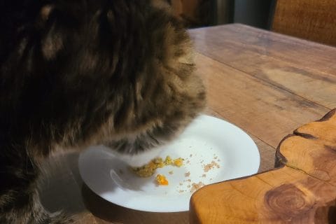 Cliquez pour zoomer ! Terrine carottes et brocolis Thermomix par Fofy973