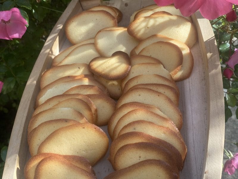 Cliquez pour zoomer ! Langues de chat Thermomix par originebike