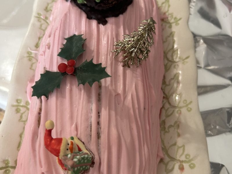 Cliquez pour zoomer ! Roulé à la mangue Thermomix par originebike