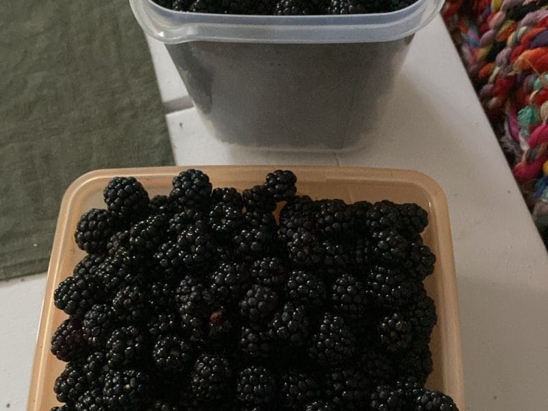 Cliquez pour zoomer ! Confiture de mûres Thermomix par originebike