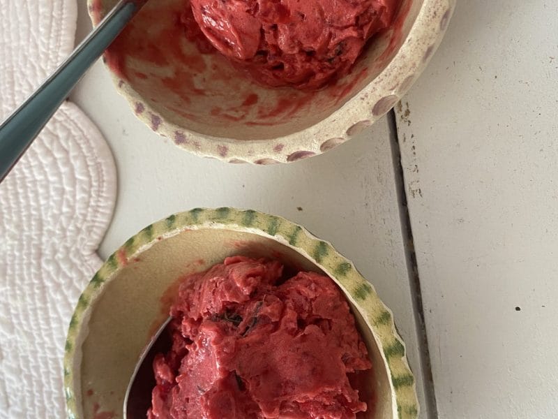 Cliquez pour zoomer ! Sorbet framboise Thermomix par originebike