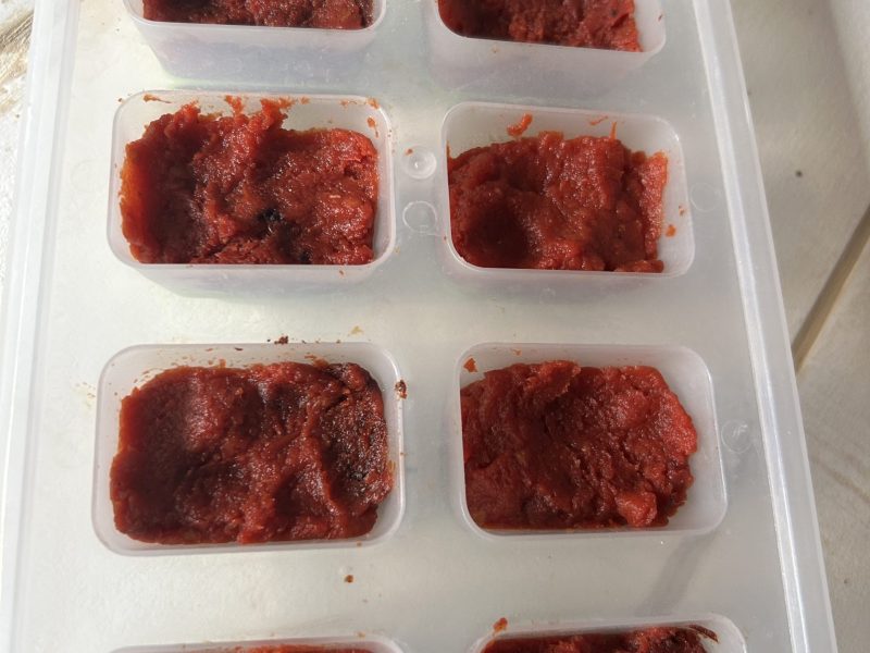 Cliquez pour zoomer ! Concentré de tomates Thermomix par originebike